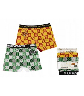 Jungen Boxershorts Harry Potter Gryffindor Slytherin 146/152 cm 2-tlg