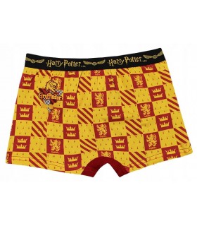 Jungen Boxershorts Harry Potter Gryffindor Slytherin 146/152 cm 2-tlg