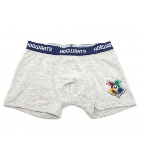 Harry Potter Jungen Boxershorts 134-164 cm 2 Stk