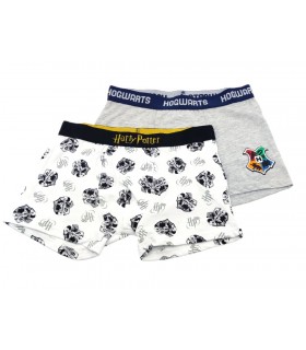 Harry Potter Jungen Boxershorts 134-164 cm 2 Stk