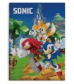 Fleecová deka Ježek Sonic 100x140 cm